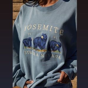 Brandy Melville Seafoam Yosemite Erica Sweatshirt